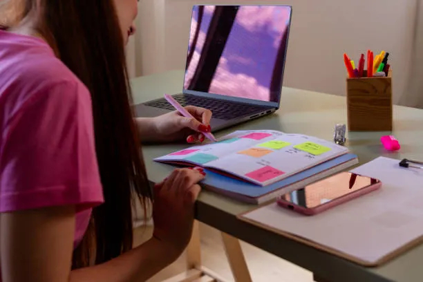 Student reviewing an academic plan with a mentor